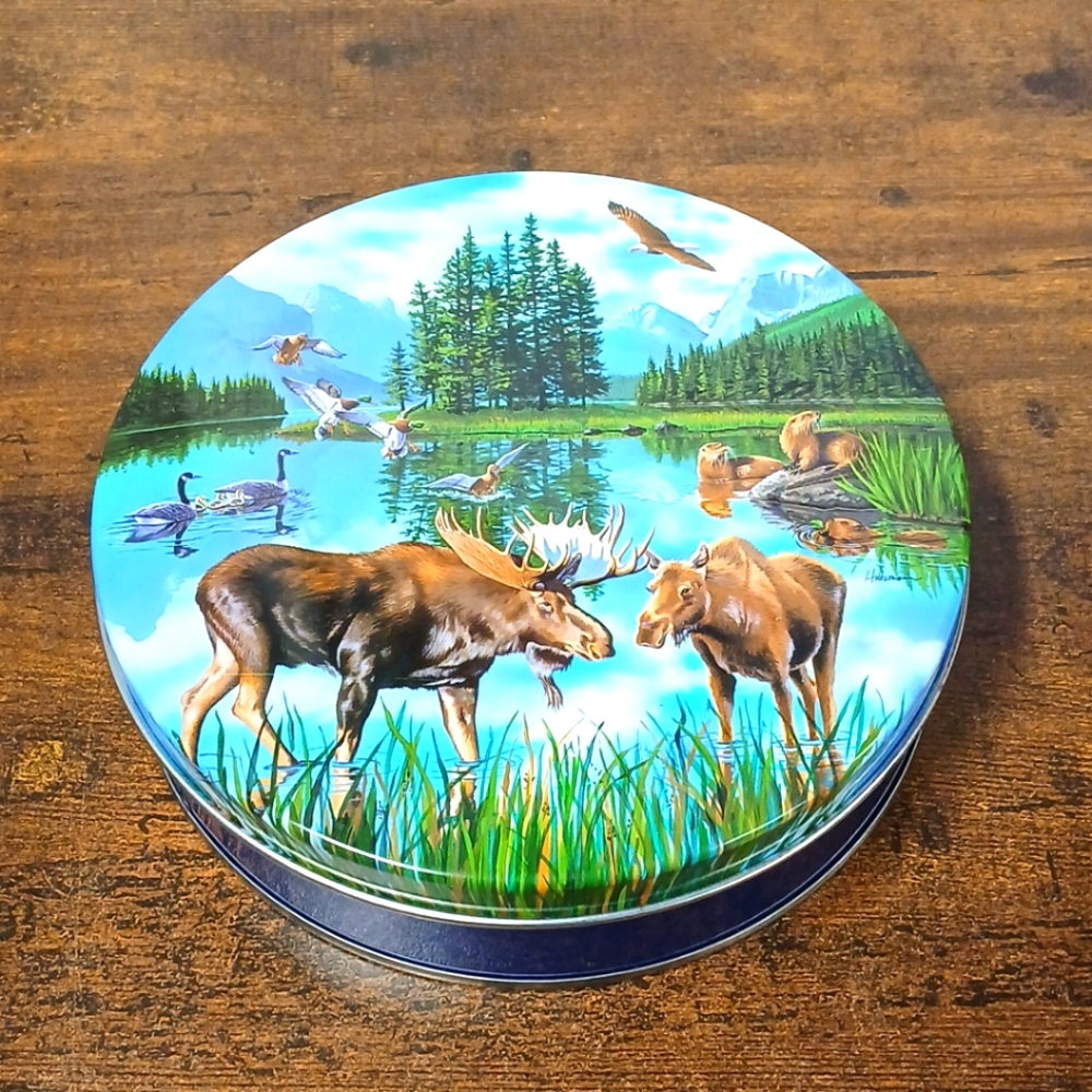 Empty Cookie Tin, Moose Nature Theme, 6.5"